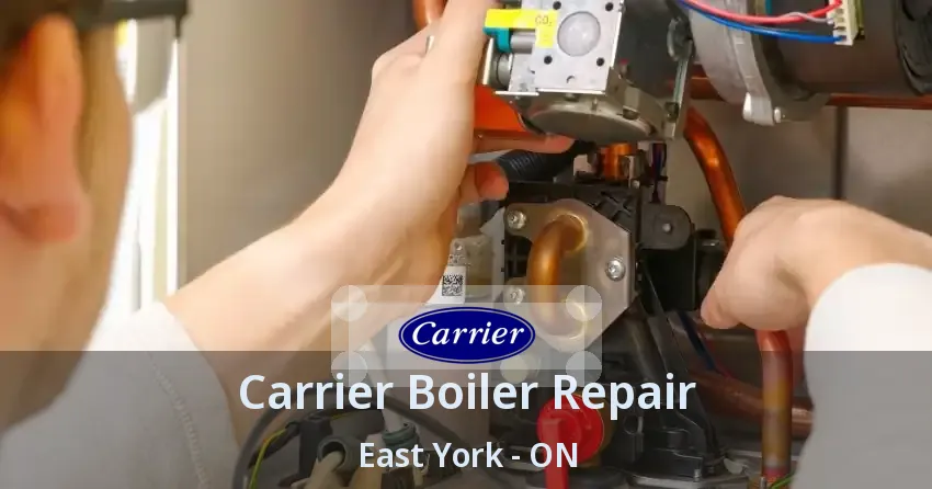 Carrier Boiler Repair East York - ON