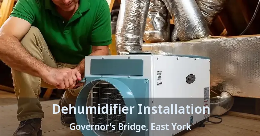 Dehumidifier Installation Governor's Bridge, East York - ON