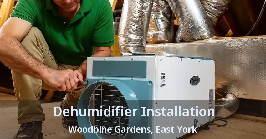 Dehumidifier Installation Woodbine Gardens, East York - ON