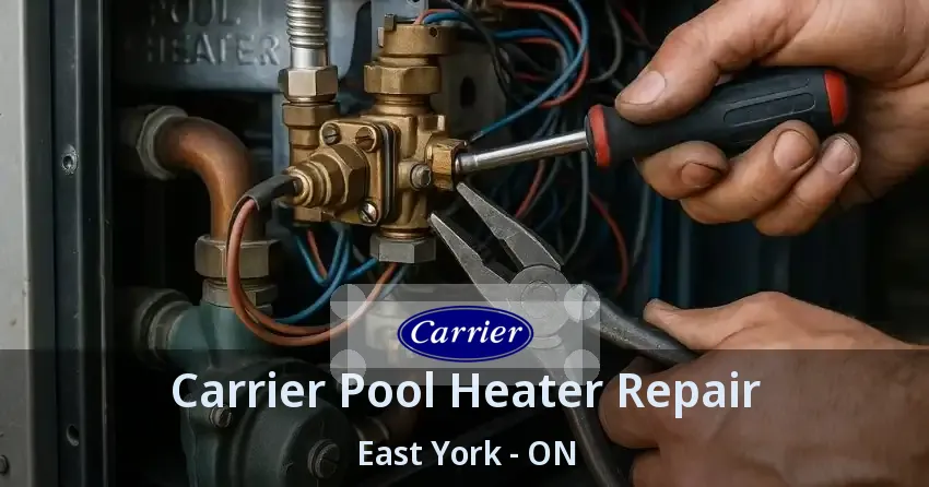 Carrier Pool Heater Repair East York - ON