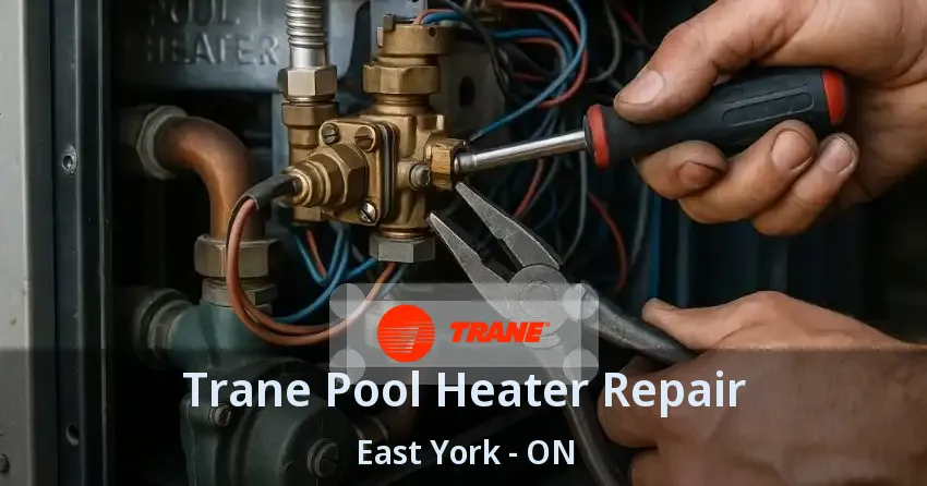 Trane Pool Heater Repair East York - ON